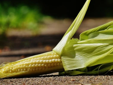 Jagung