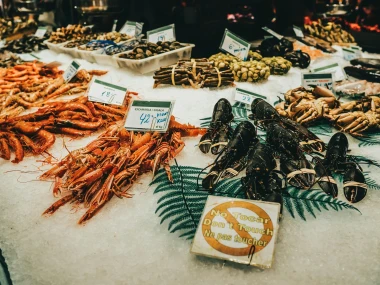 Seafood