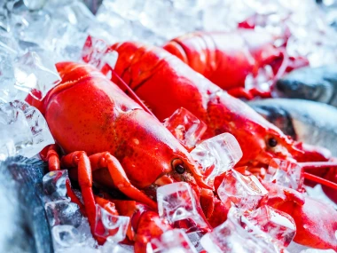 Lobster