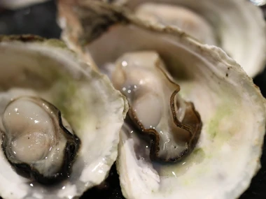 Kerang