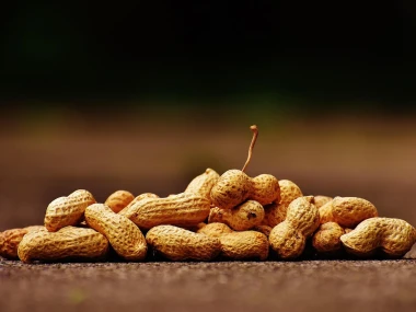 Kacang tanah.